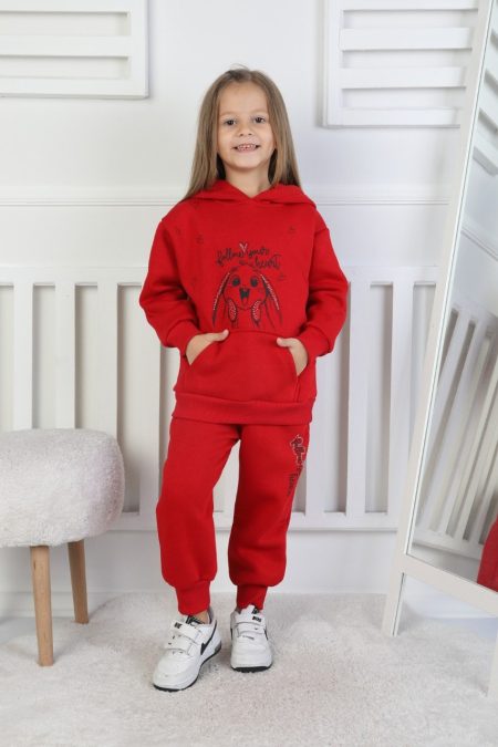 Üç İplik Şardonlu Baskılı Kapüşonlu Kız Çocuk Takım