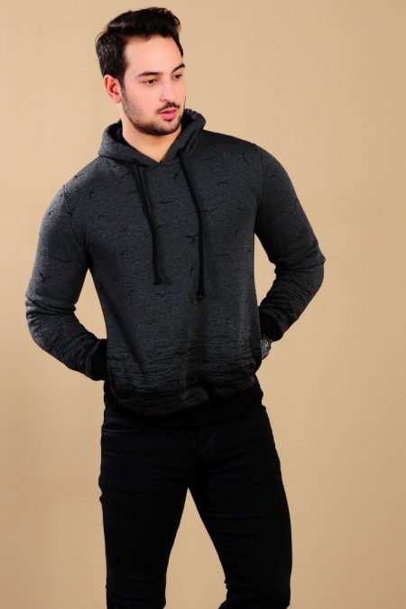 Üç İplik Kapşonlu Martı Desenli Erkek Günlük Sweatshirt