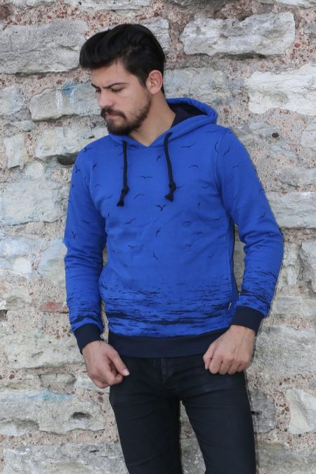 Üç İplik Kapşonlu Martı Desenli Erkek Günlük Sweatshirt