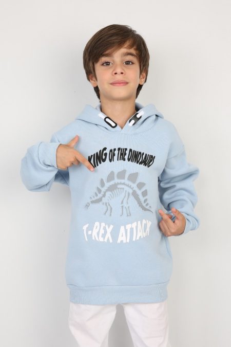 Üç İplik Şardonlu Baskılı Kapşonlu Erkek Çocuk Günlük Sweatshirt