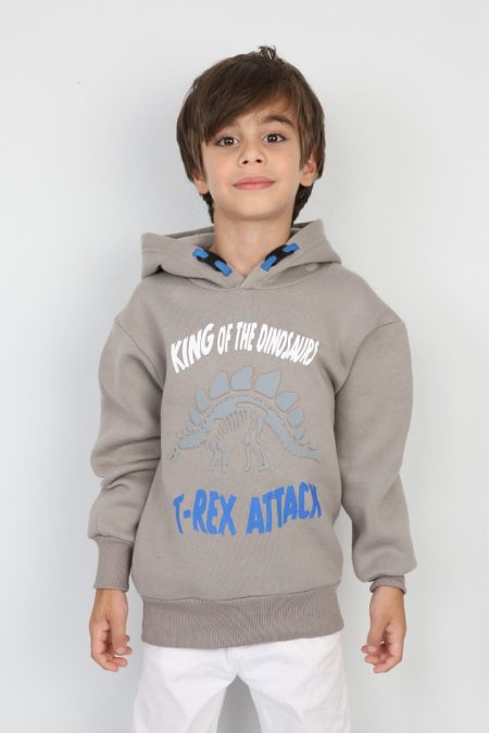 Üç İplik Şardonlu Baskılı Kapşonlu Erkek Çocuk Günlük Sweatshirt